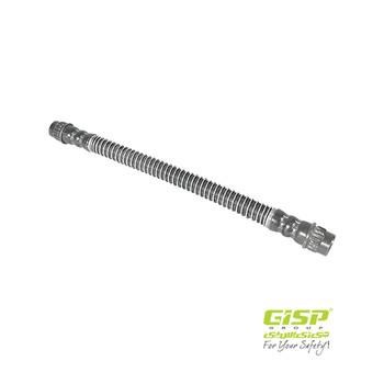 GISP